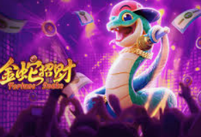 pg国际电脑免费版