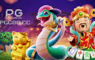 pg国际电脑免费版