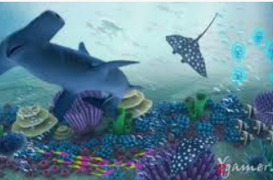 pg国际电脑免费版