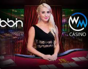 pg国际2024最新版